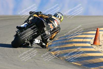 media/Jan-09-2022-SoCal Trackdays (Sun) [[2b1fec8404]]/Turn 12 Backside (130pm)/